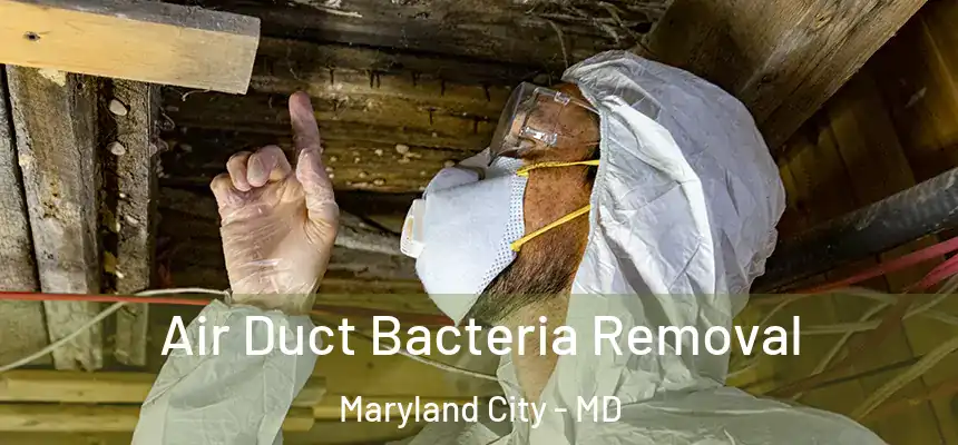  Air Duct Bacteria Removal Maryland City - MD