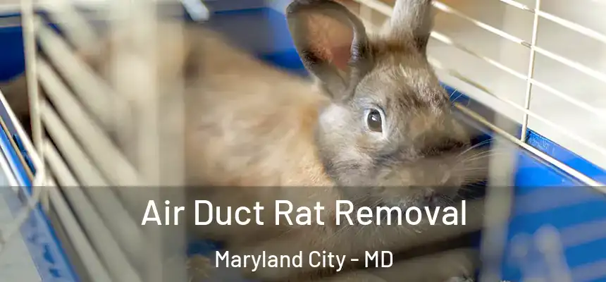  Air Duct Rat Removal Maryland City - MD