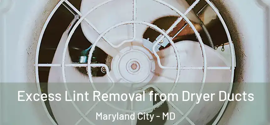  Excess Lint Removal from Dryer Ducts Maryland City - MD