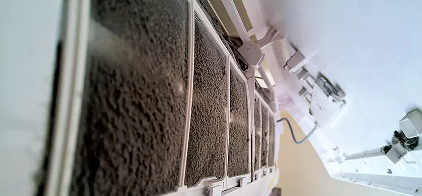 Preventive Air Duct Bacteria Removal in Maryland City