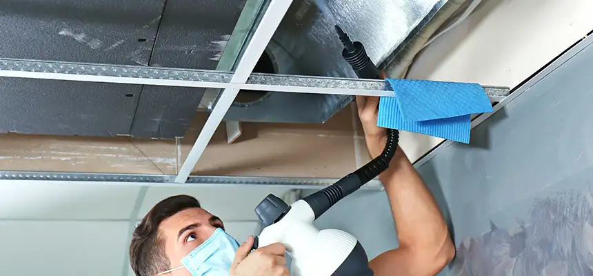 Our Air Duct Rodent Removal Services in Maryland City, MD
