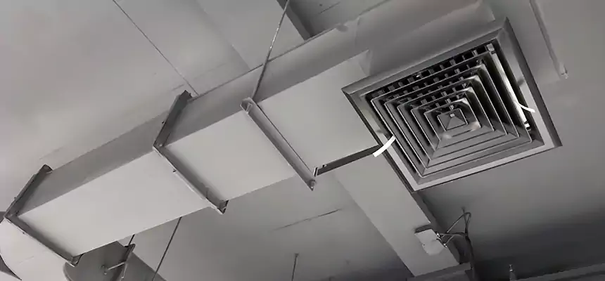 Restorative Allergy Relief Vent Cleaning – Coil, Blower & Housing Detail in Maryland City