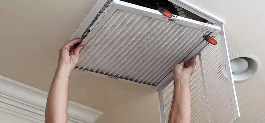 Our Insect Removal from Air Ducts Services in Maryland City, MD