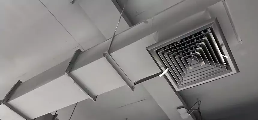 Our Rodent Droppings In Vents Services in Maryland City, MD