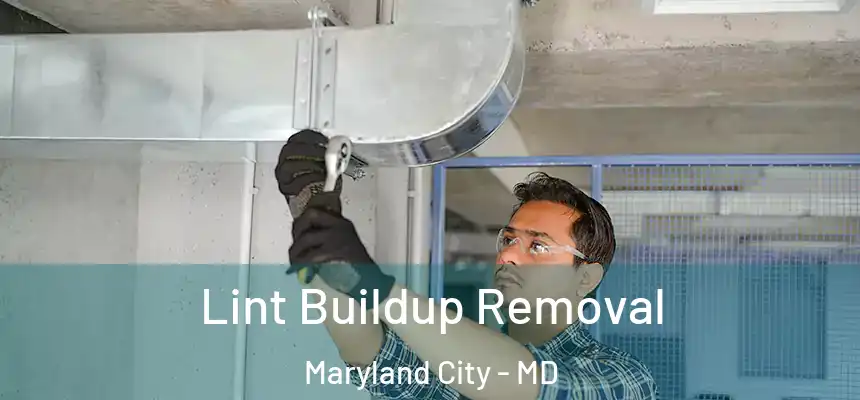  Lint Buildup Removal Maryland City - MD
