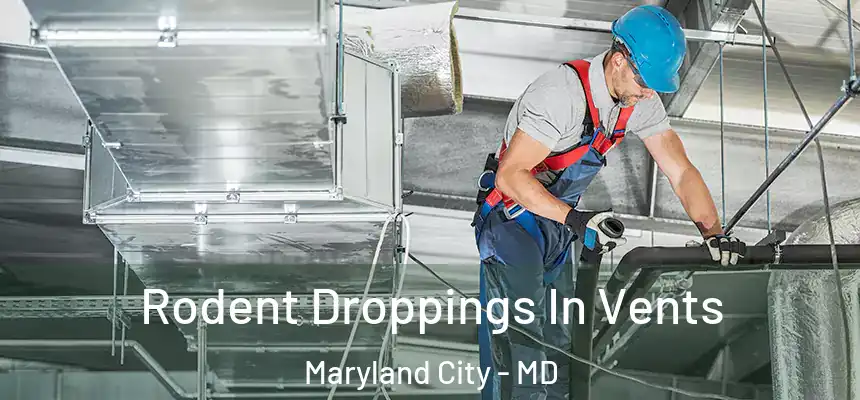  Rodent Droppings In Vents Maryland City - MD