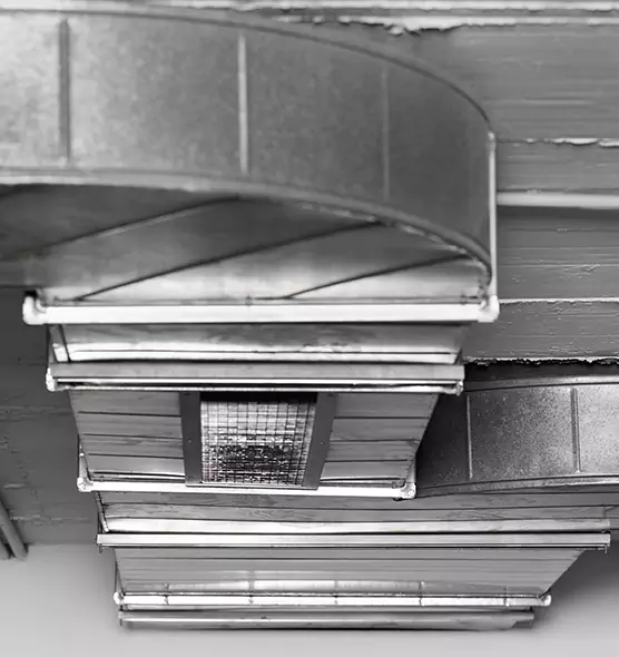 Professional Air Duct Pest Removal in Maryland City, MD