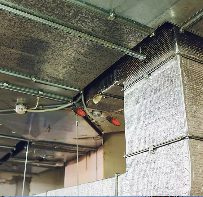 Why Homeowners & Businesses Trust Us in Maryland City, MD?