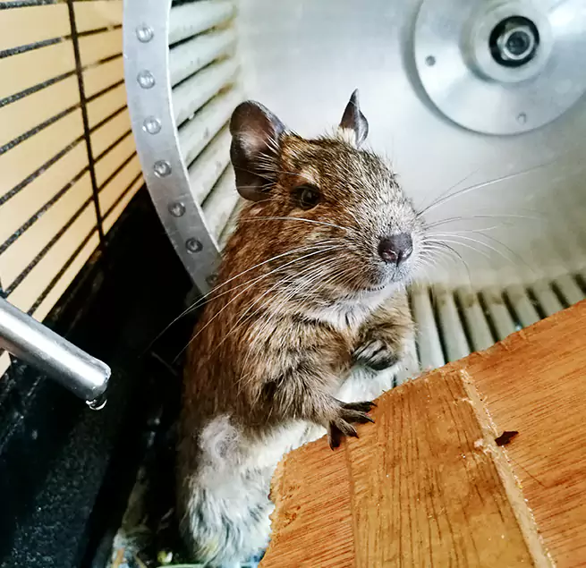 Why Homeowners & Businesses Trust Us Maryland City, MD?